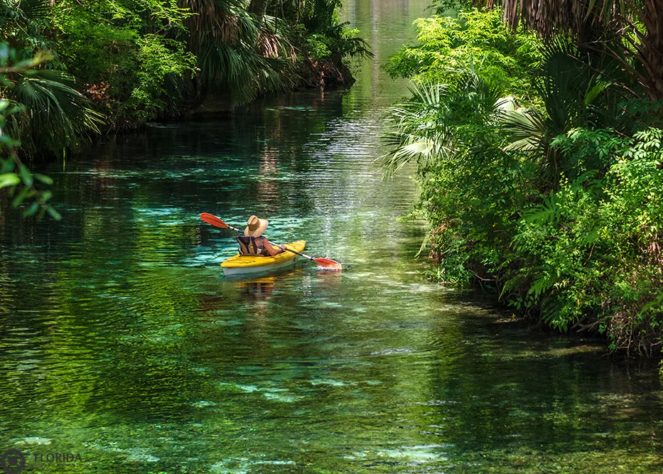 Florida Addiction and Recovery Center - Photo 3