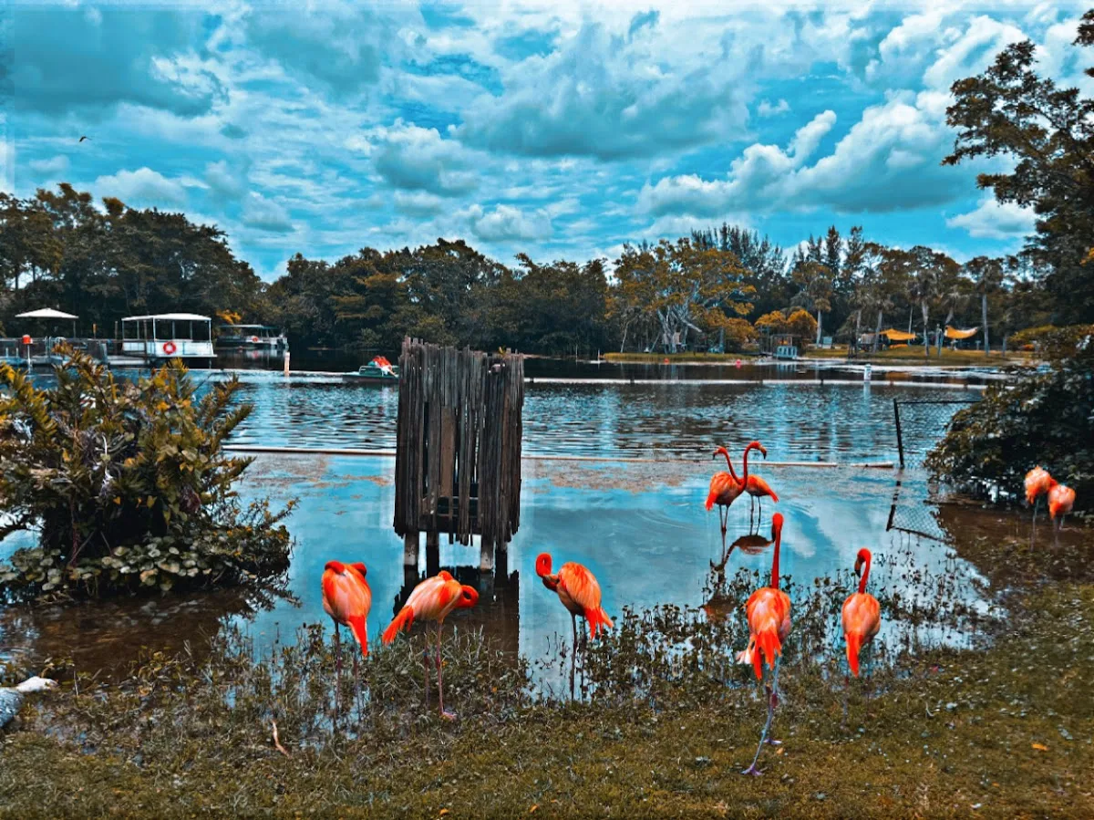 Renaissance Recovery - Palm Beach - Photo 5