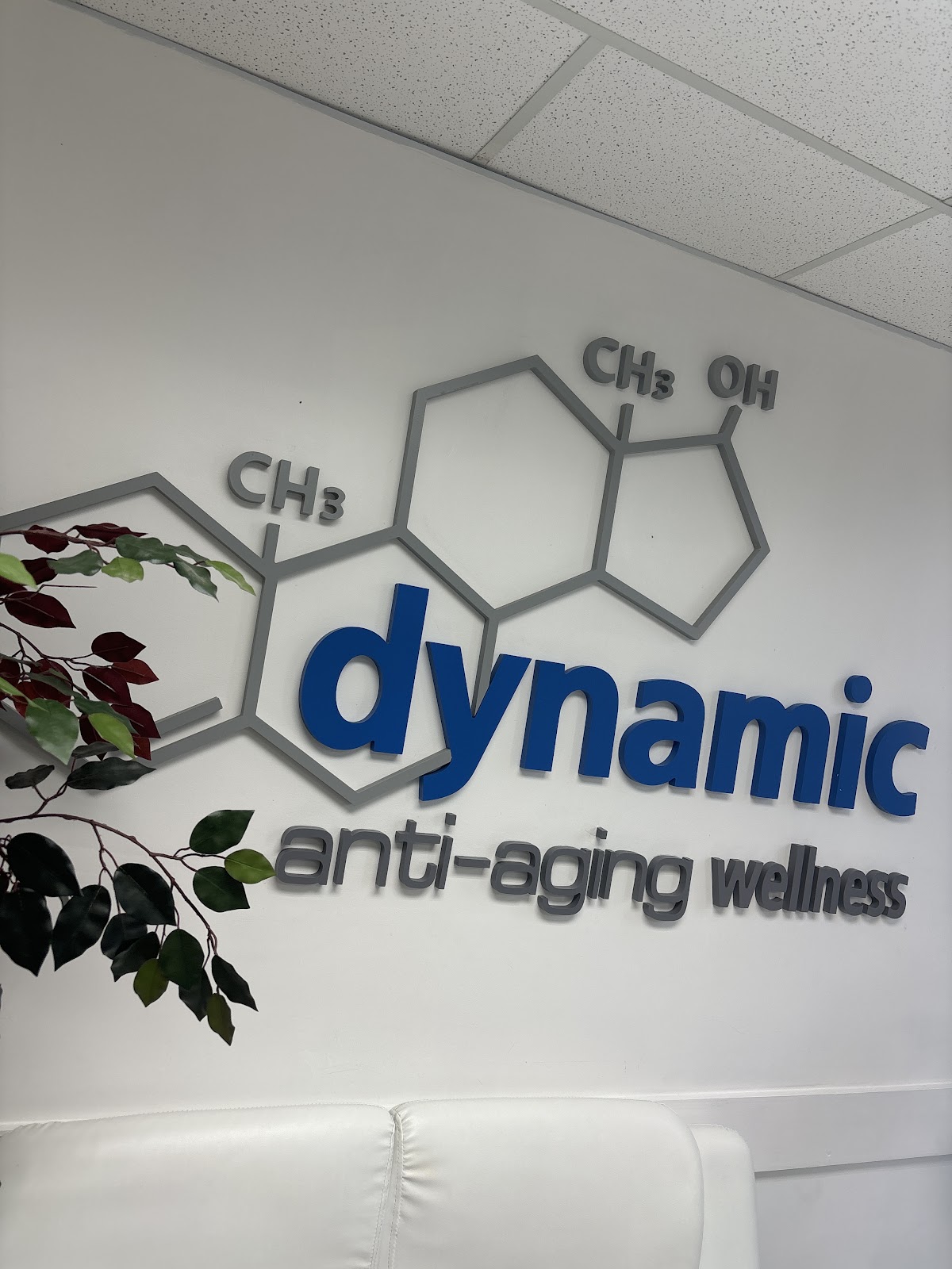 Dynamic Wellness - Photo 1
