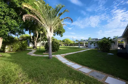 Lush green pathway surrounded by palm trees at Olympic Behavioral Health, an intensive outpatient program in Miami.