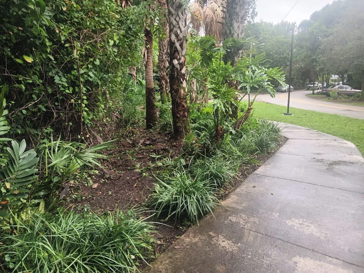 South Miami Hospital Outpatient Rehabilitation