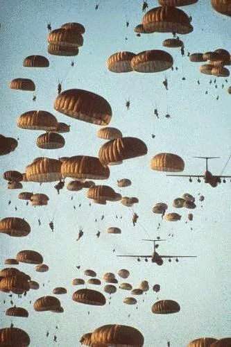 Operation Sacred Trust - Photo 3