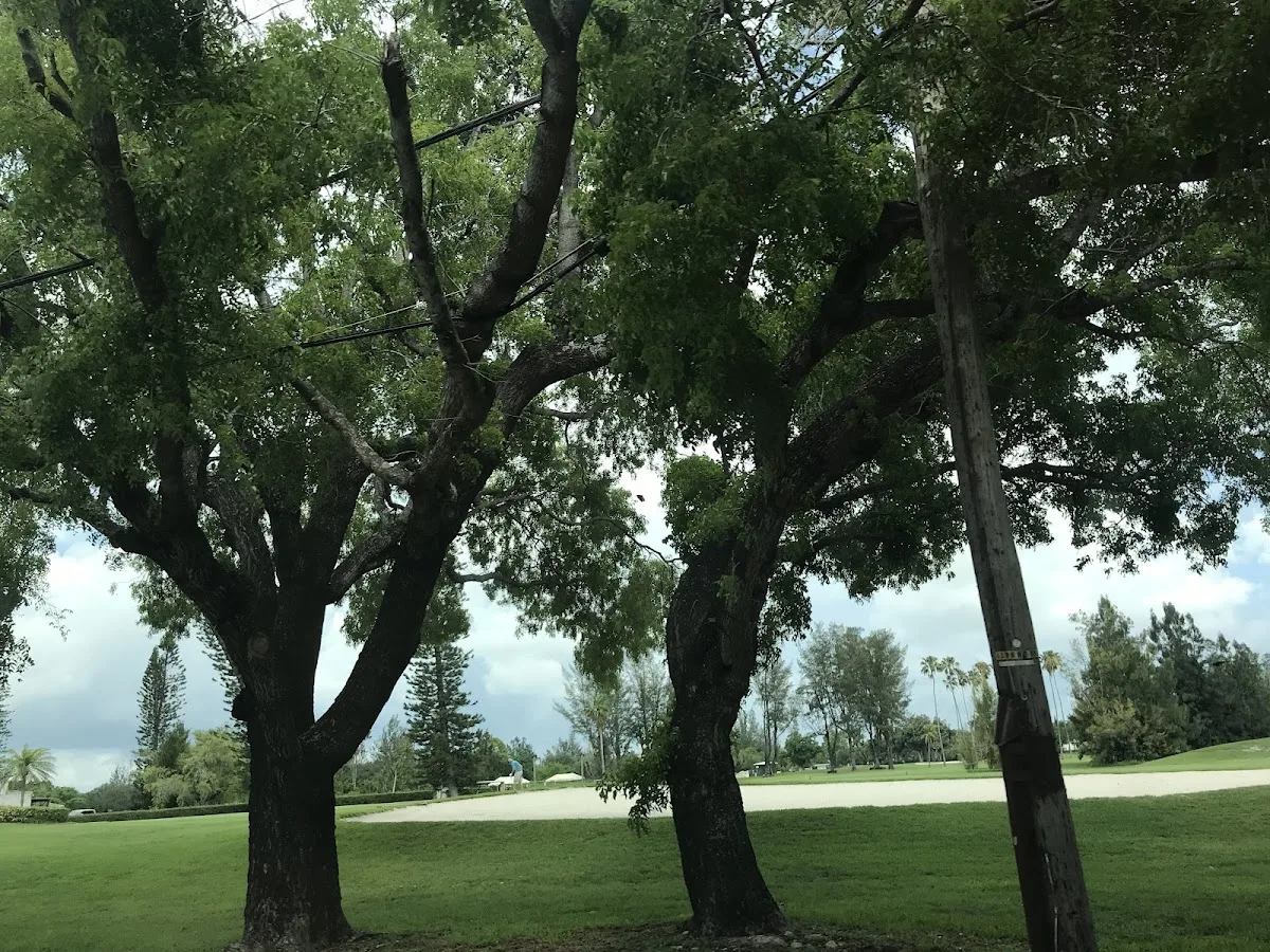 Miami Springs Nursing And Rehab Center - Photo 4