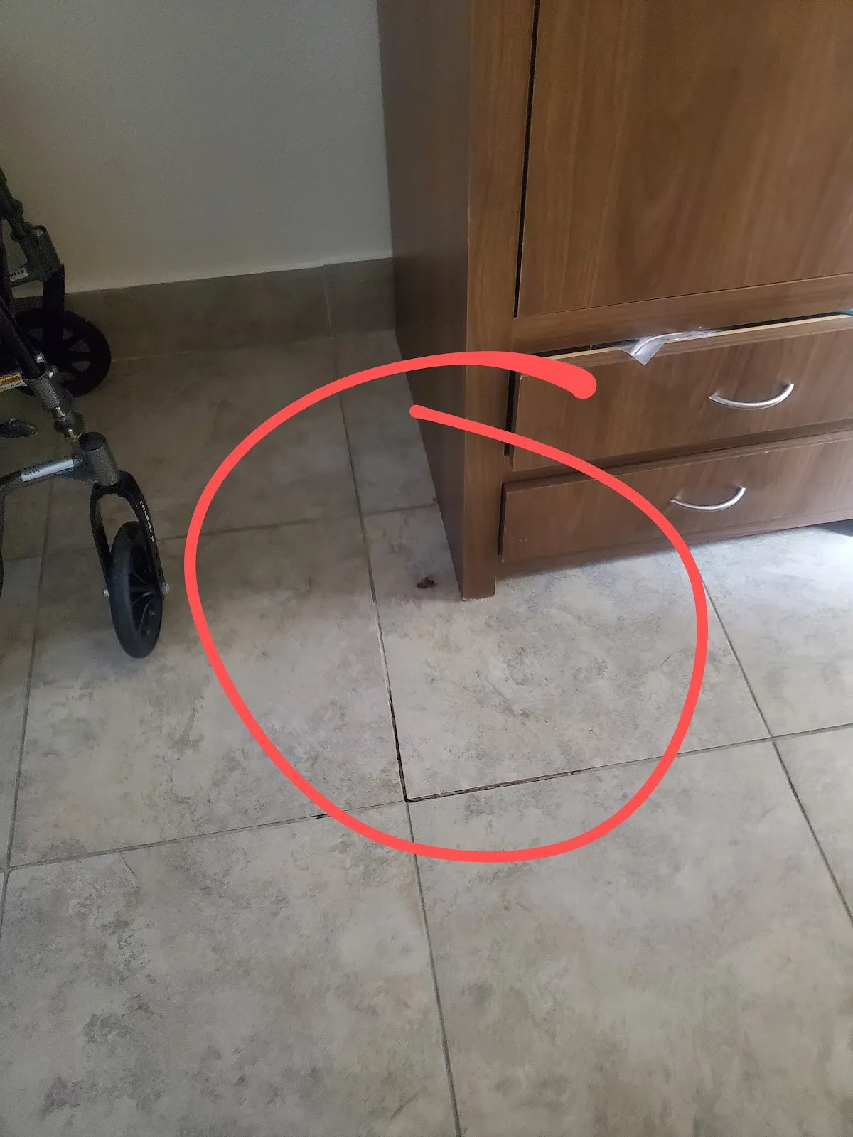 Fountain Manor - Photo 3