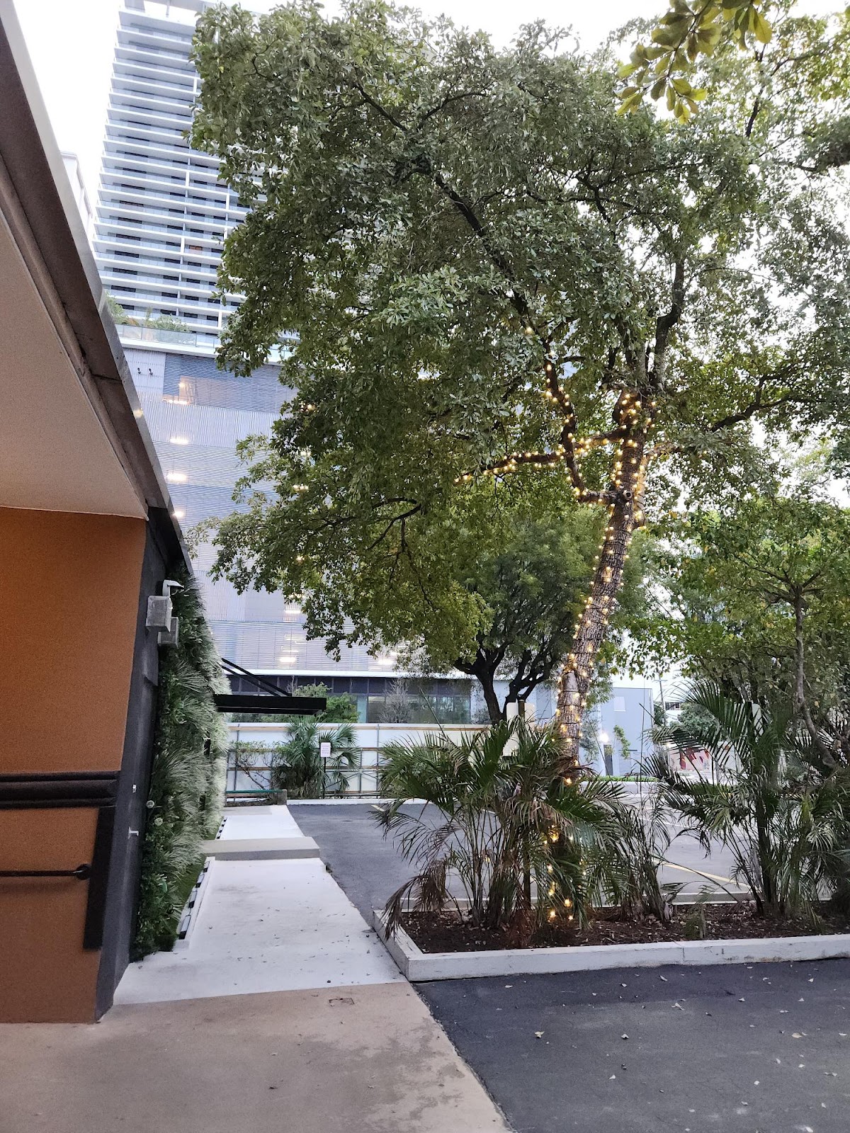 Envision Mindcare - Photo 5