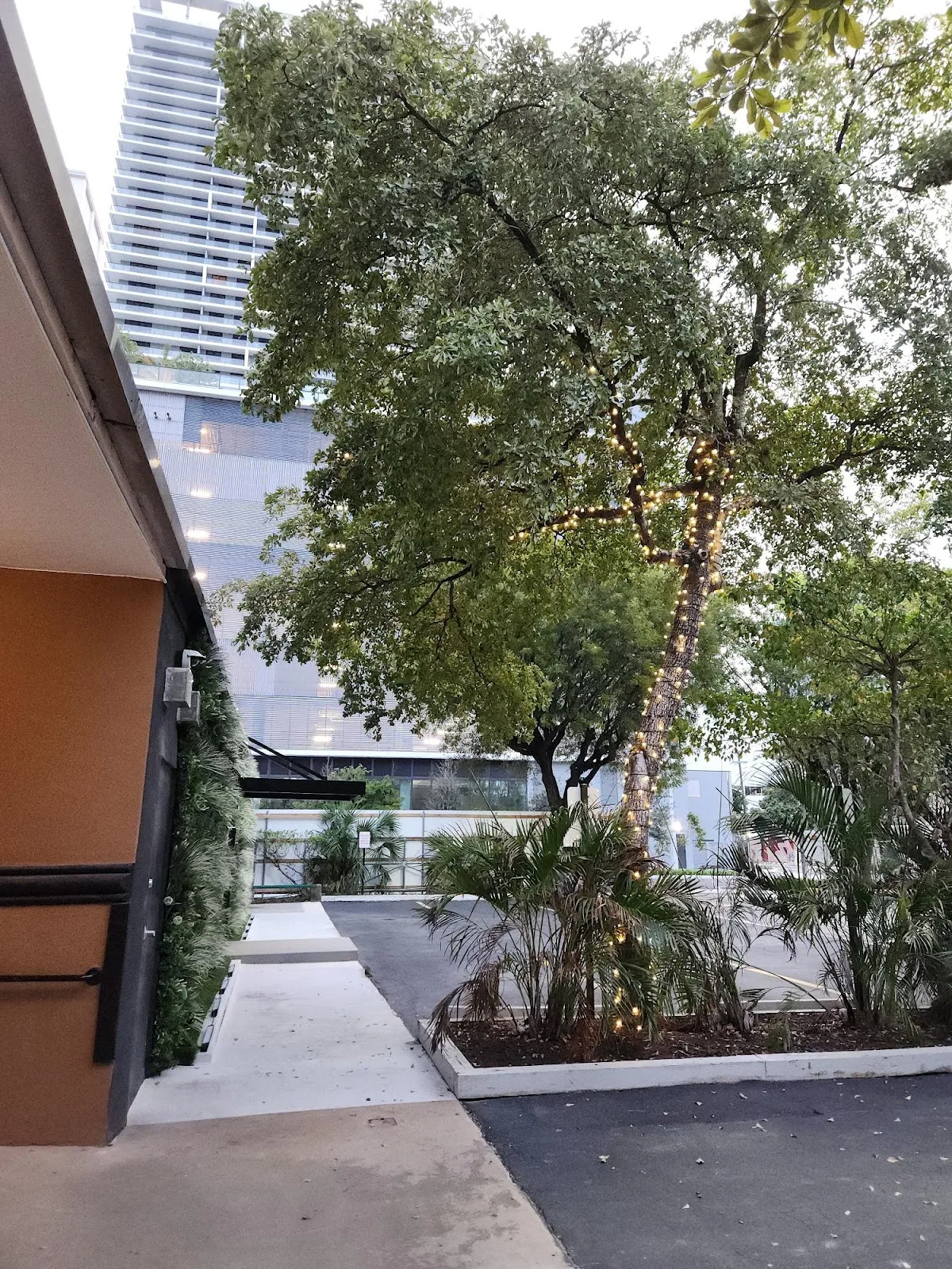 Envision Mindcare - Photo 5