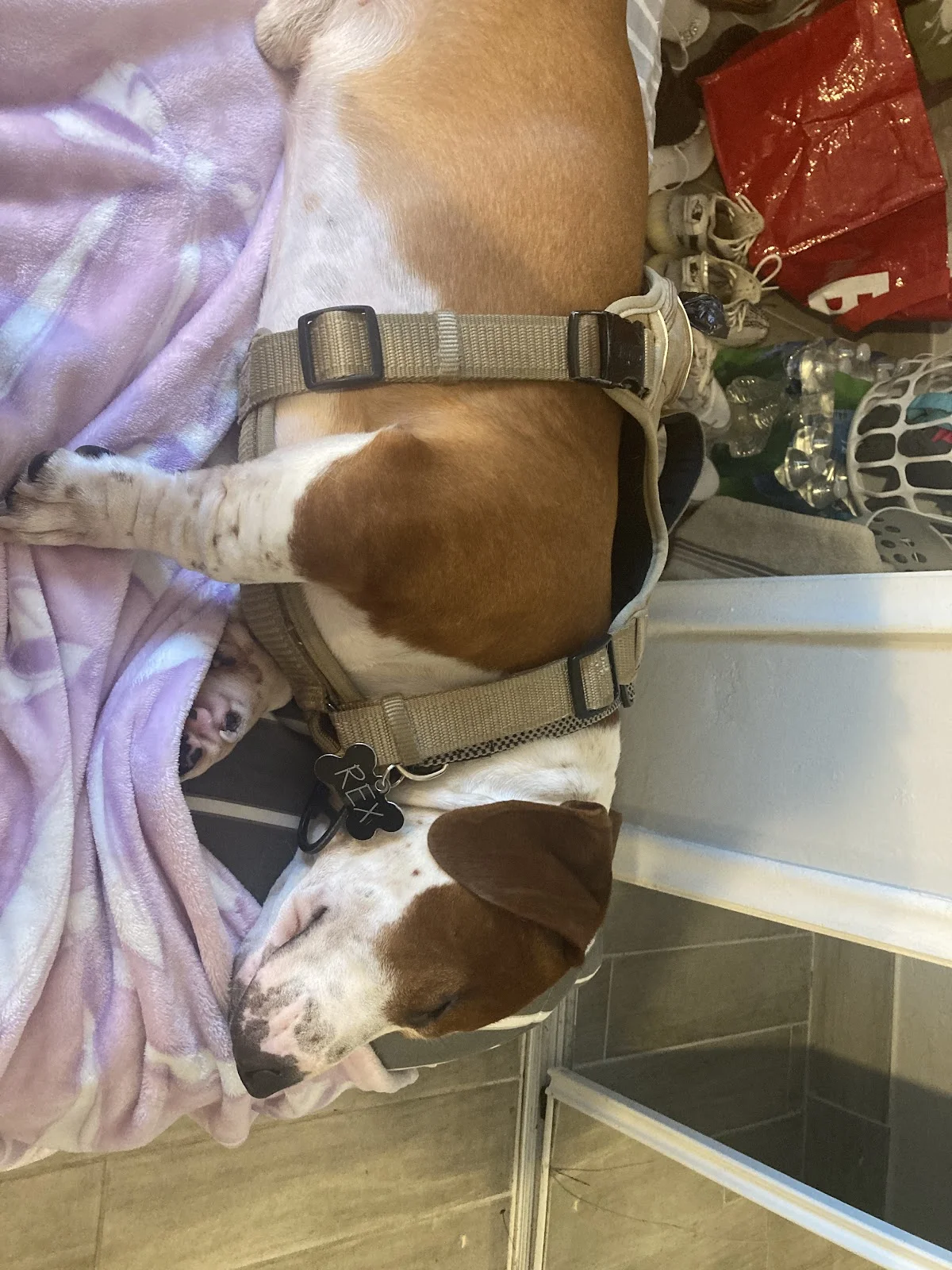 JC’s Recovery Center | Drug & Alcohol Treatment - Photo 5