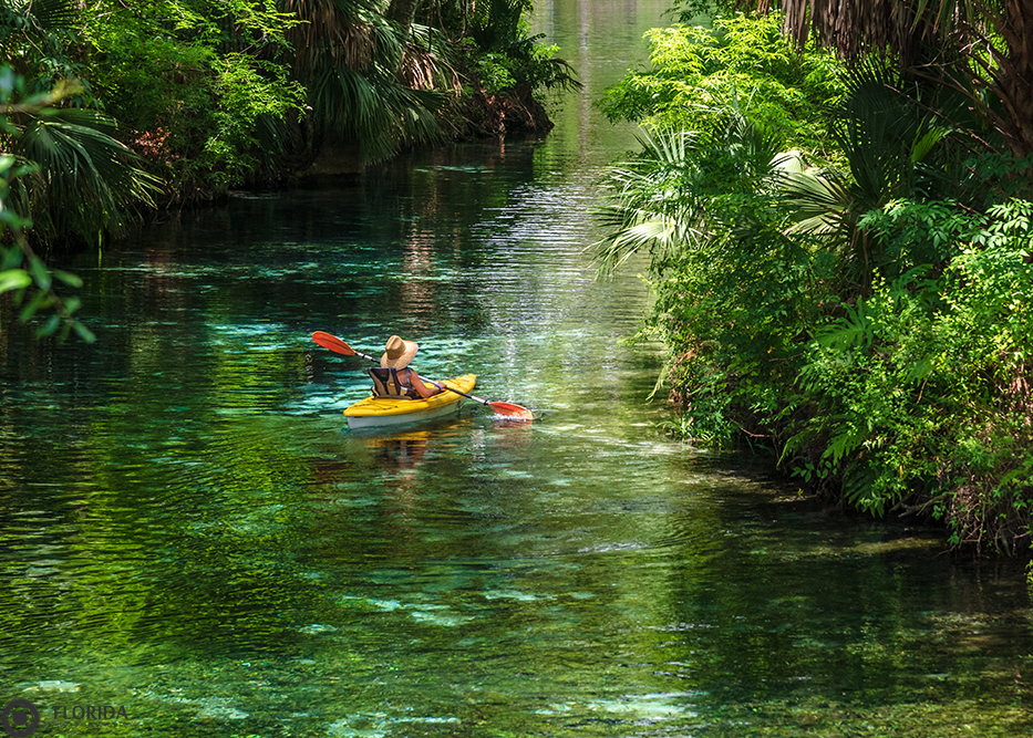 Florida Addiction and Recovery Center - Photo 5